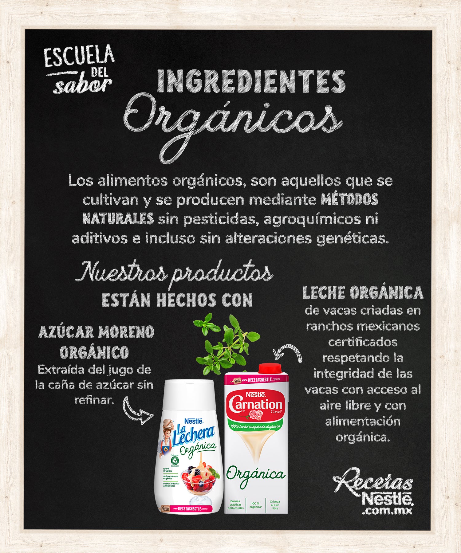 organico 