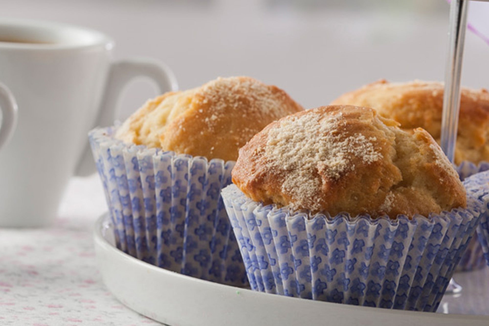 Receta de Magdalenas